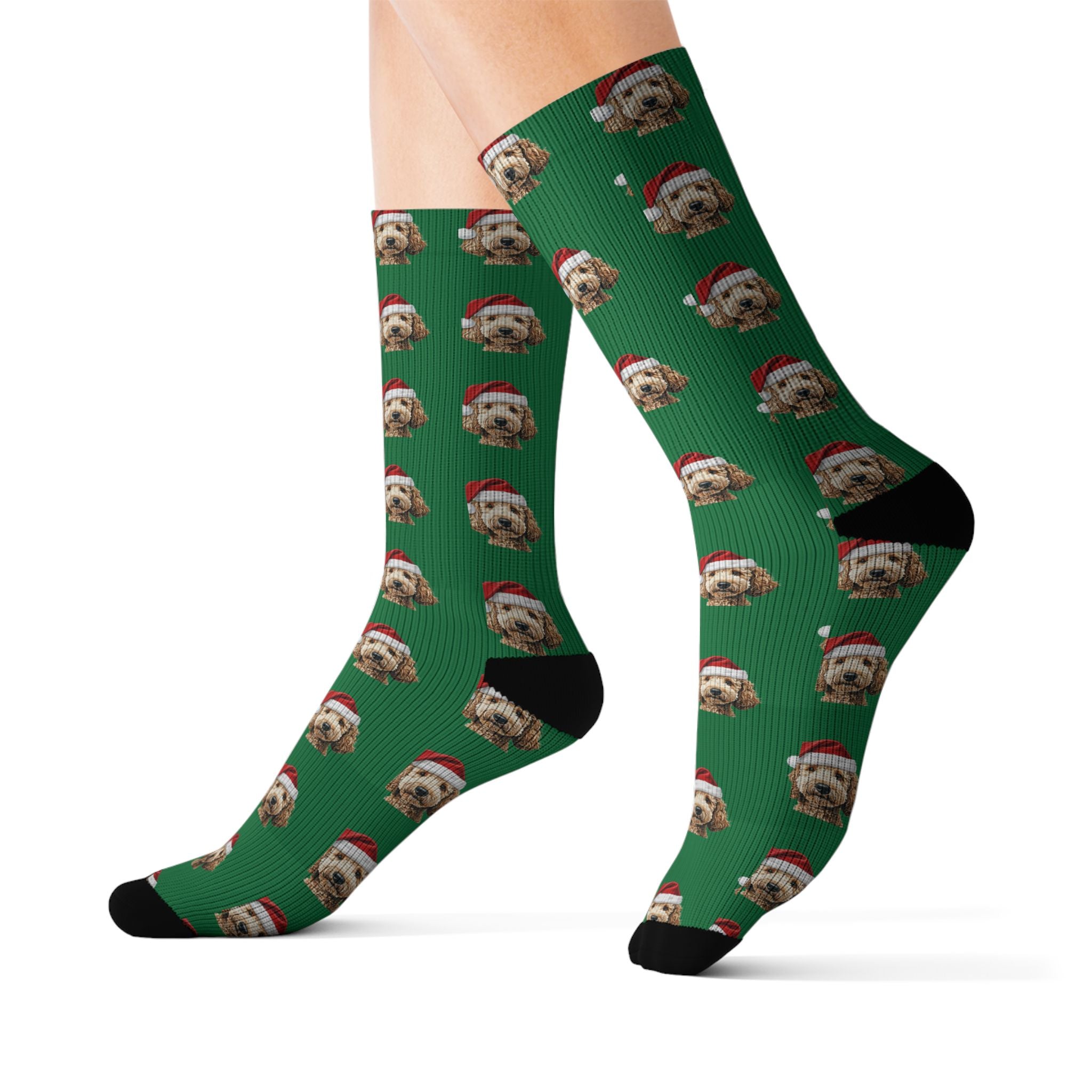 Santa Goldendoodle | Socks