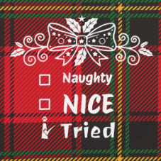 Naughty Nice I Tried | Dog Bandana