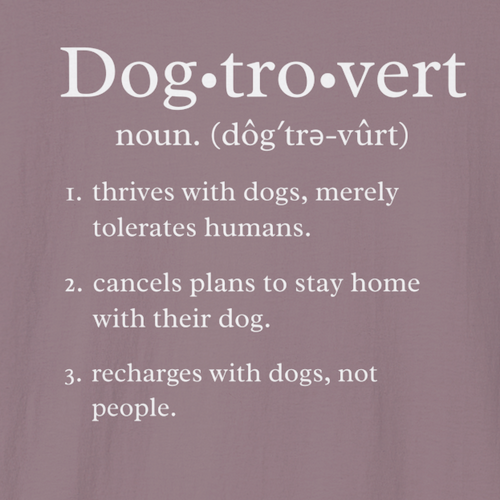 Dogtrovert | Funny Graphic Tee