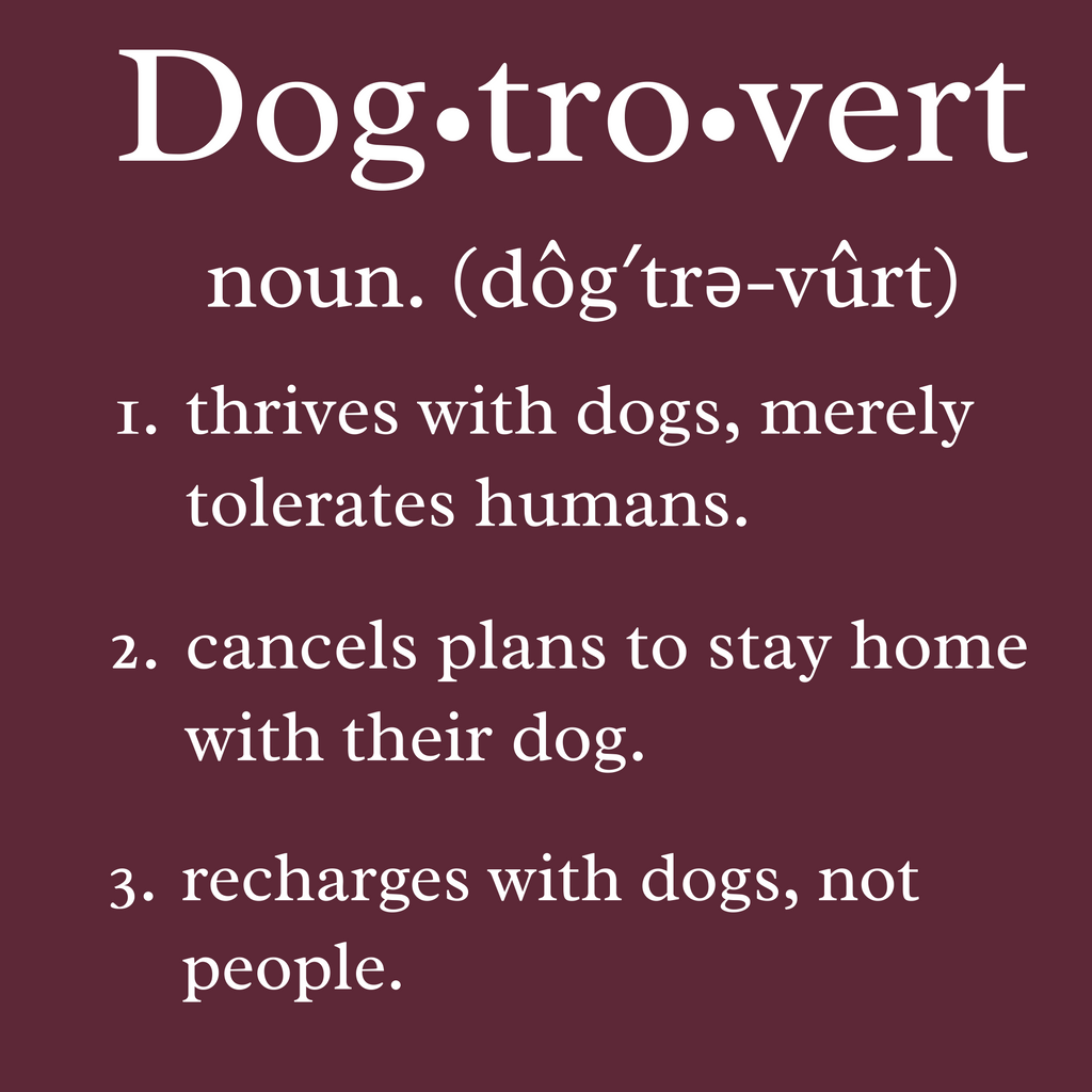 Dogtrovert | Sweatshirt