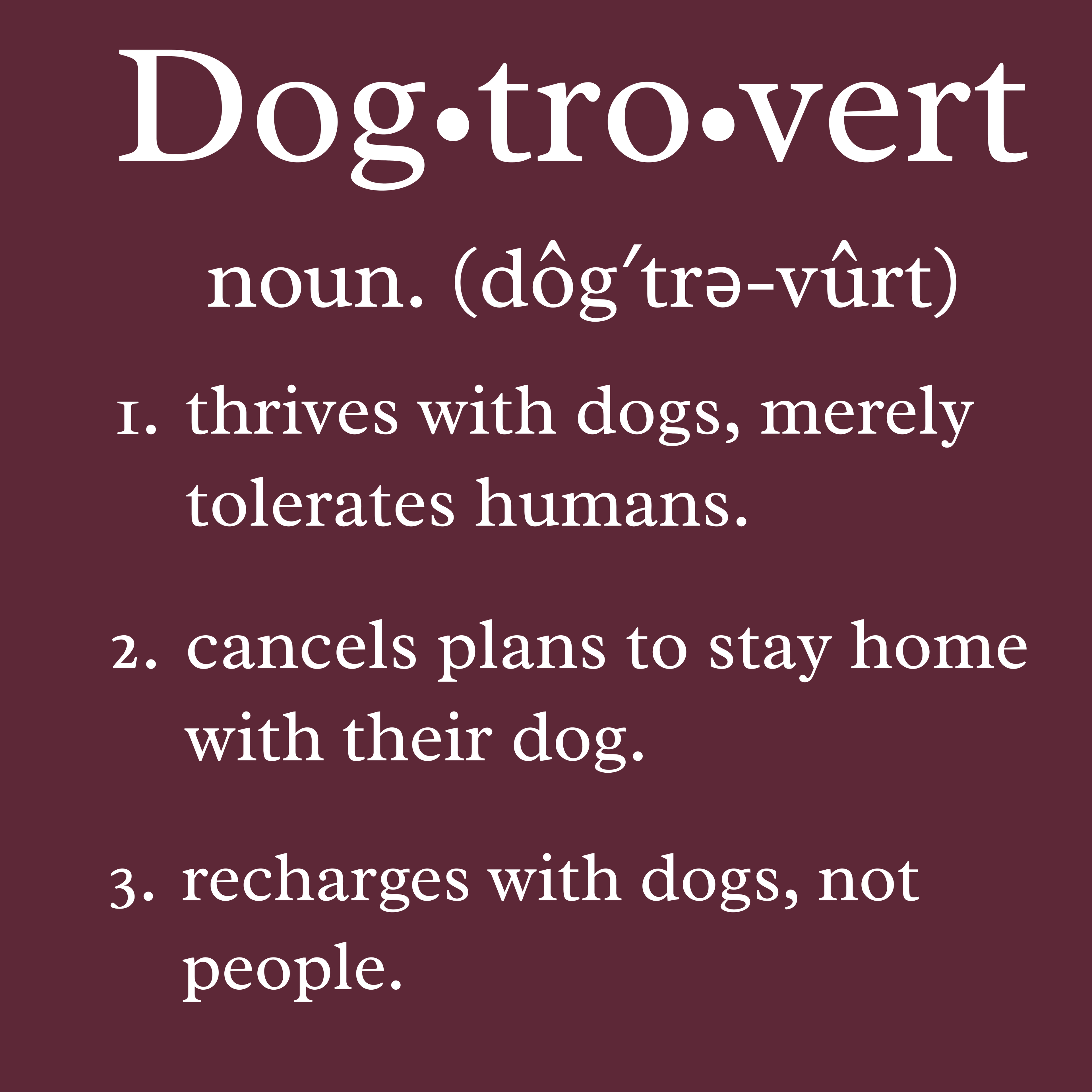 Dogtrovert | Sweatshirt