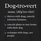 Dogtrovert | Hoodie