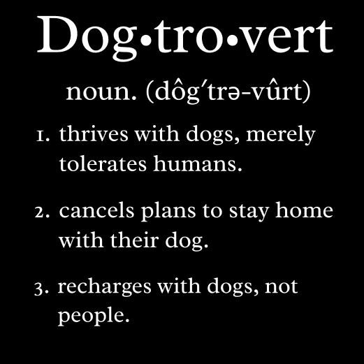 Dogtrovert | Funny Graphic Tee