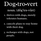 Dogtrovert | Funny Graphic Tee
