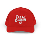 Treat Dealer | Snapback Hat